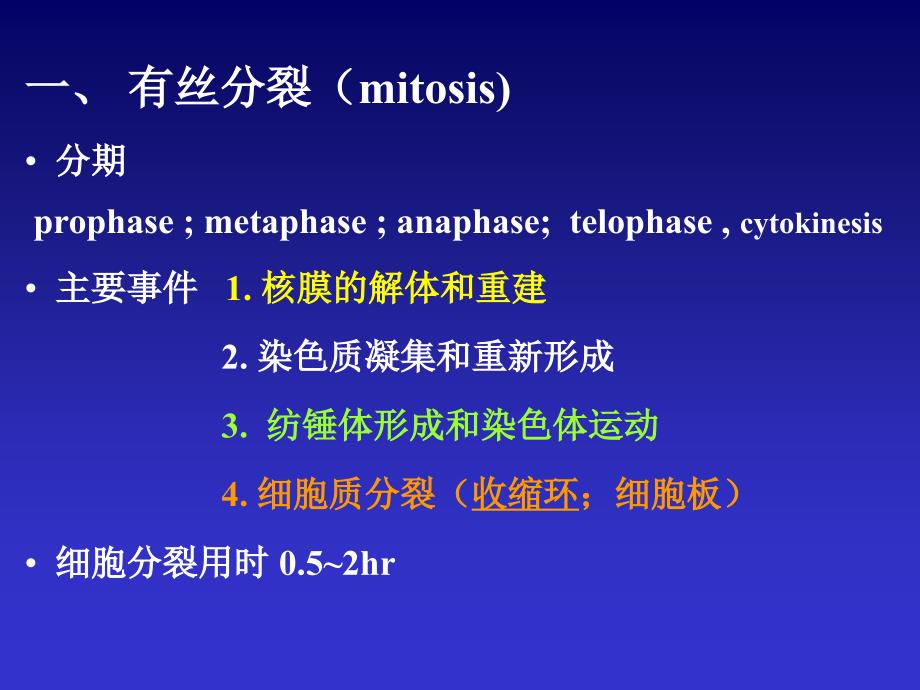 细胞生物学细胞增殖与细胞周期_第4页