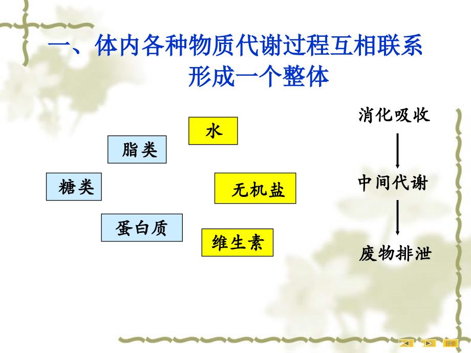 第09章物质代谢的联系与调节11采用_第4页