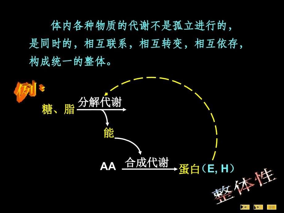 第09章物质代谢的联系与调节11采用_第5页