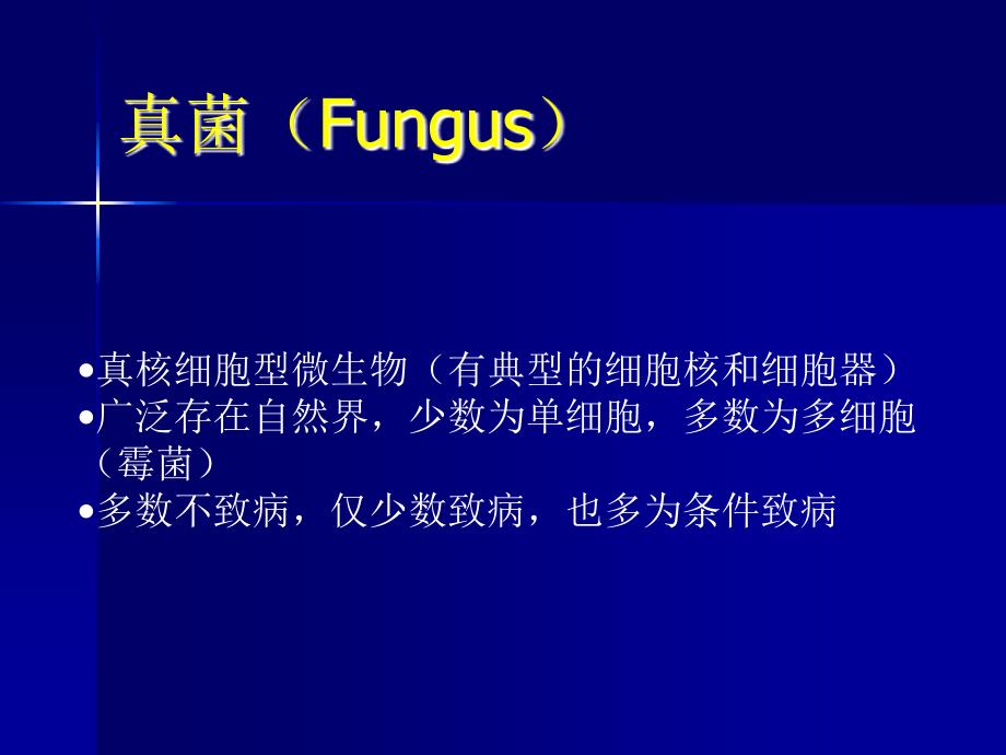 医学课件真菌Fungus课件_第1页