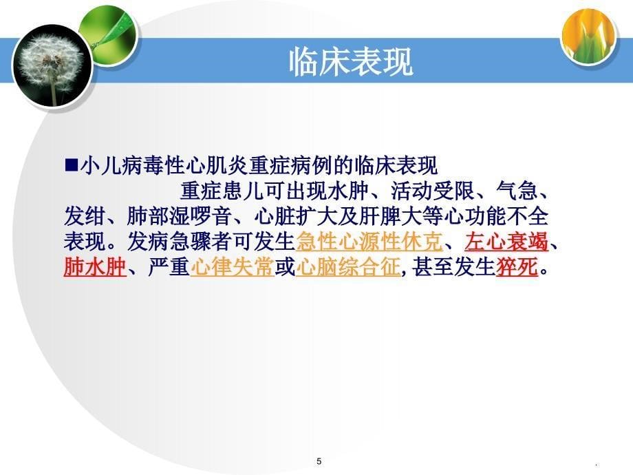 病毒性心肌炎的护理ppt演示课件_第5页