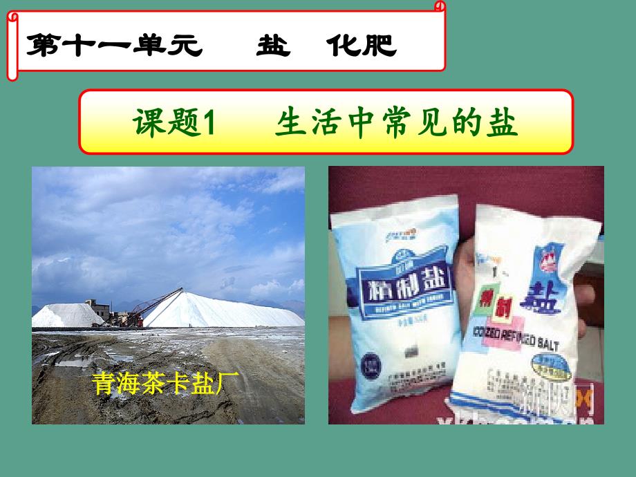 人教版九年级化学下册11.1常见的盐共15张ppt课件_第2页