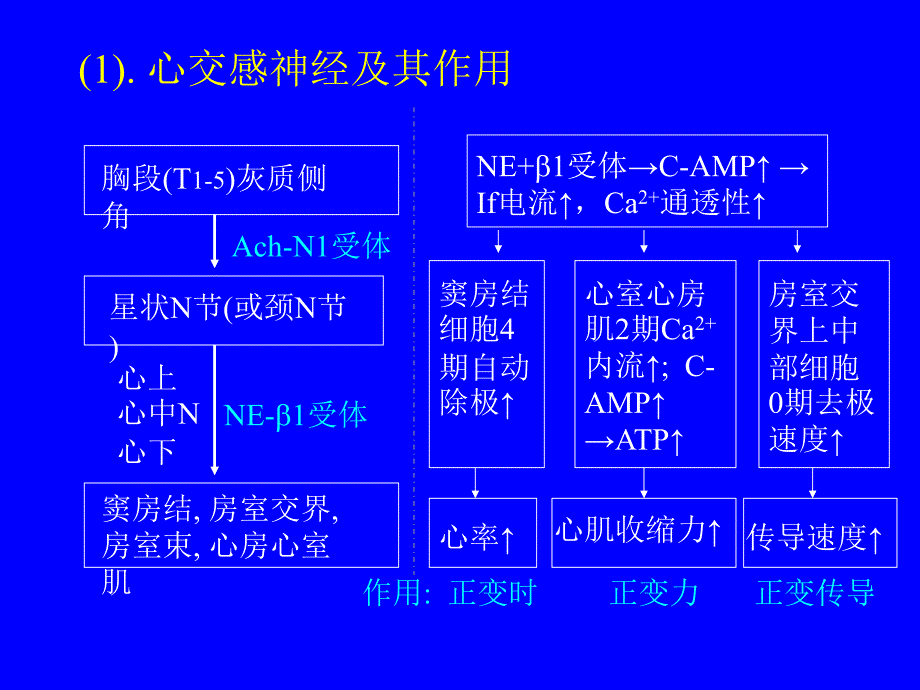 生理学讲义55_第4页