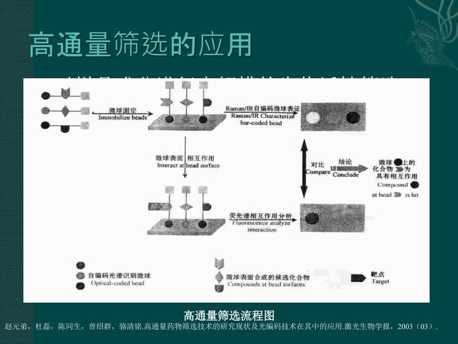 高通量离体活性测定方法在杀虫活性研究方面的应用细胞毒理学在杀虫课件_第5页