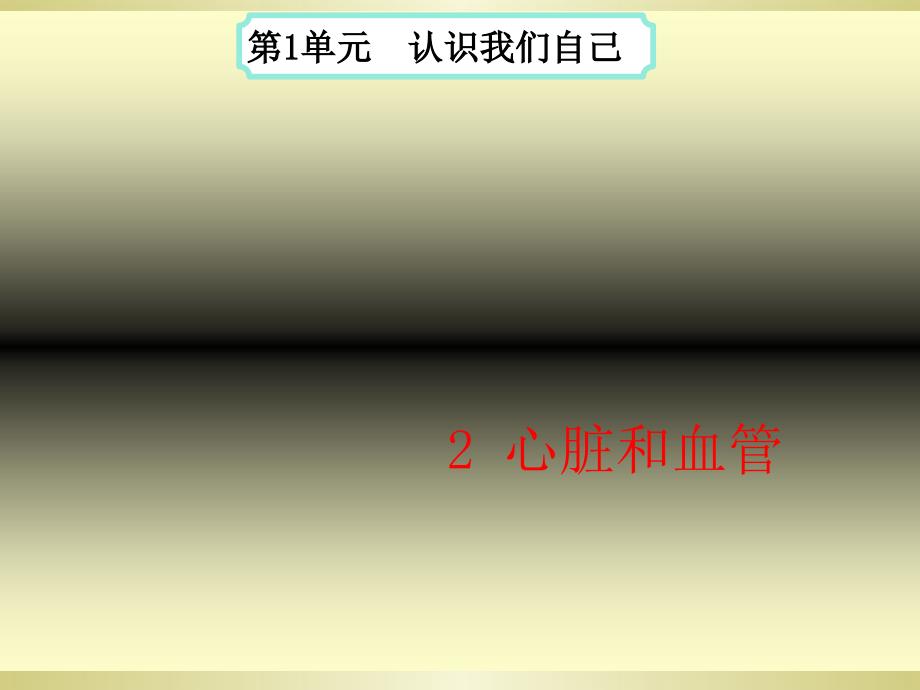 最新湘教版科学2心脏和血管_第1页