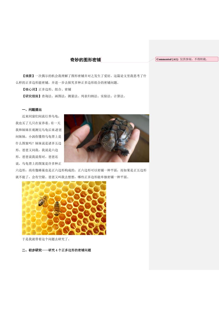 aaa-奇妙的图形密铺_第1页