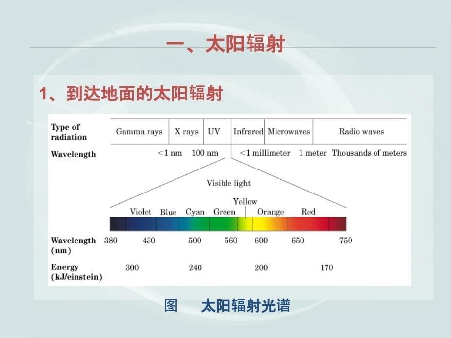 作物的光环境与光合物质生产_第5页