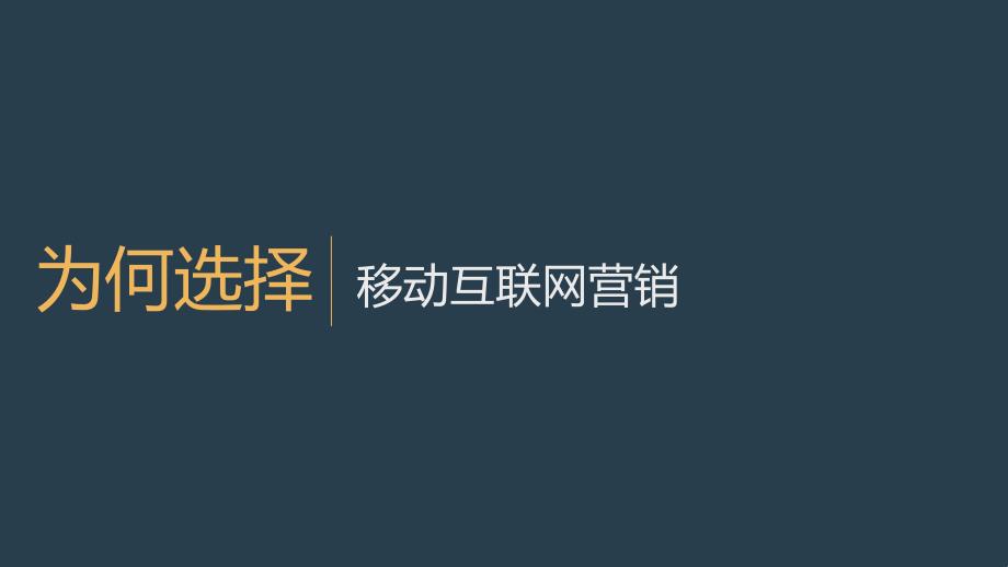 移动互联网营销建议方案.ppt_第2页