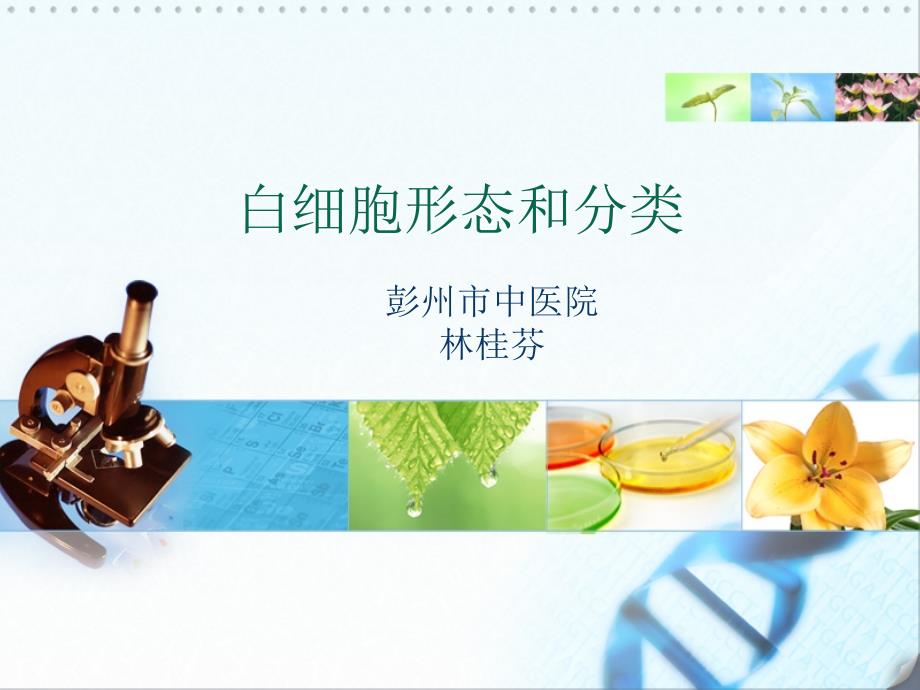白细胞形态与分类_第1页