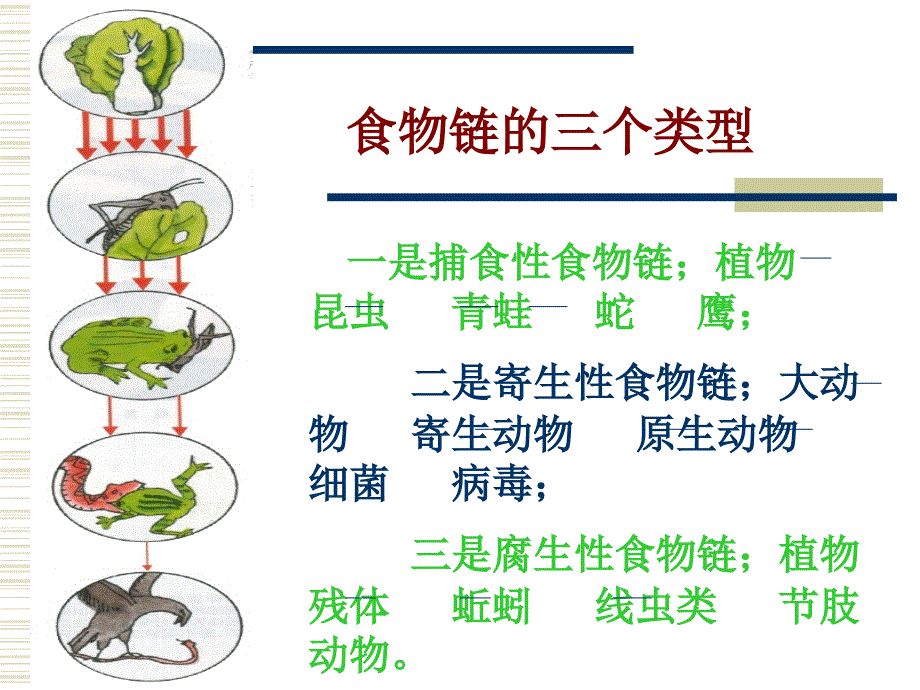 保护神奇的地球生物圈_第3页