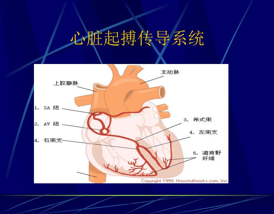 读懂心电PPT课件_第2页