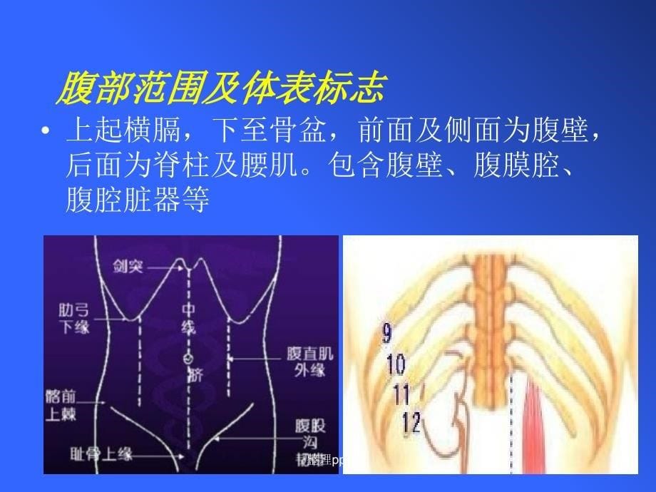 腹痛的鉴别诊断_第5页