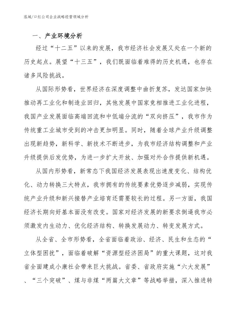 口红公司企业投资战略 (2)_第2页