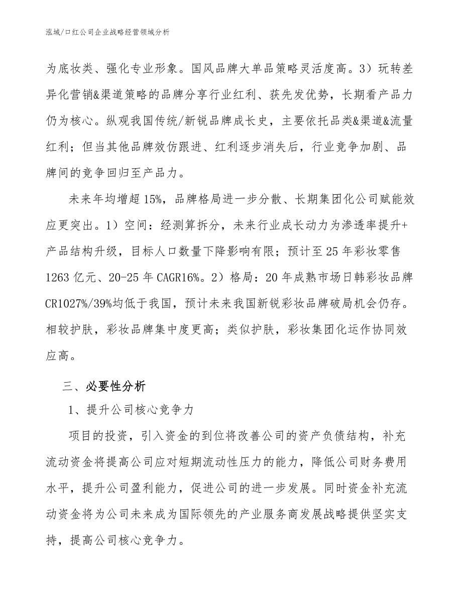 口红公司企业投资战略 (2)_第5页