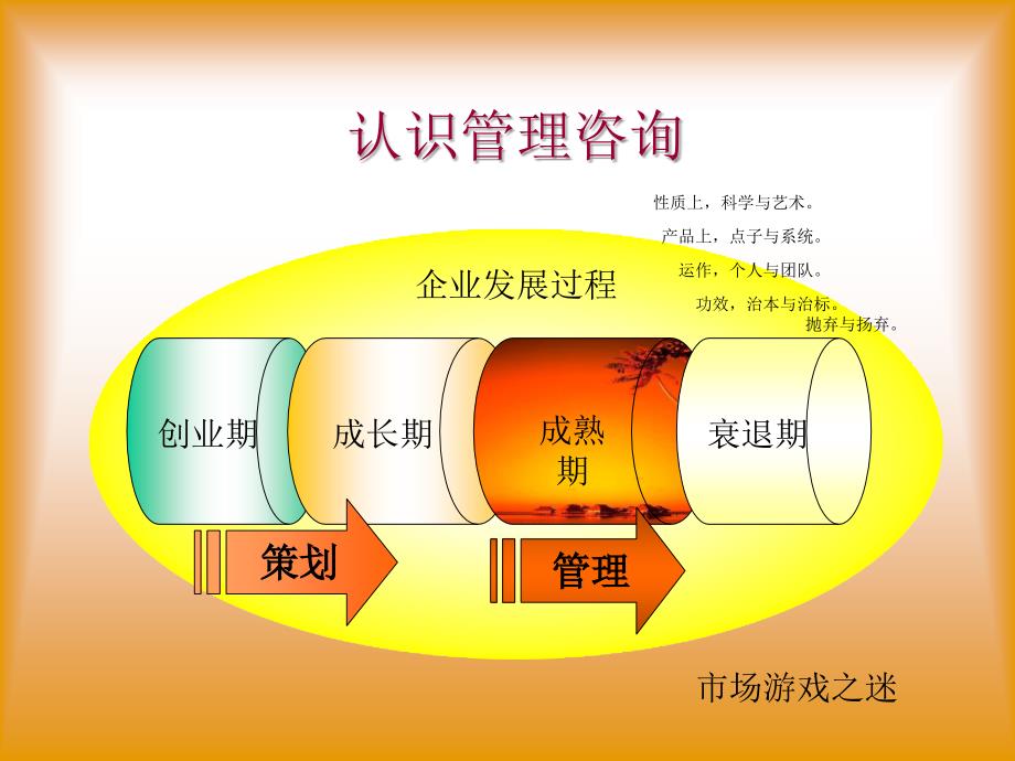 管理咨询与企业竞争能力再造_第3页