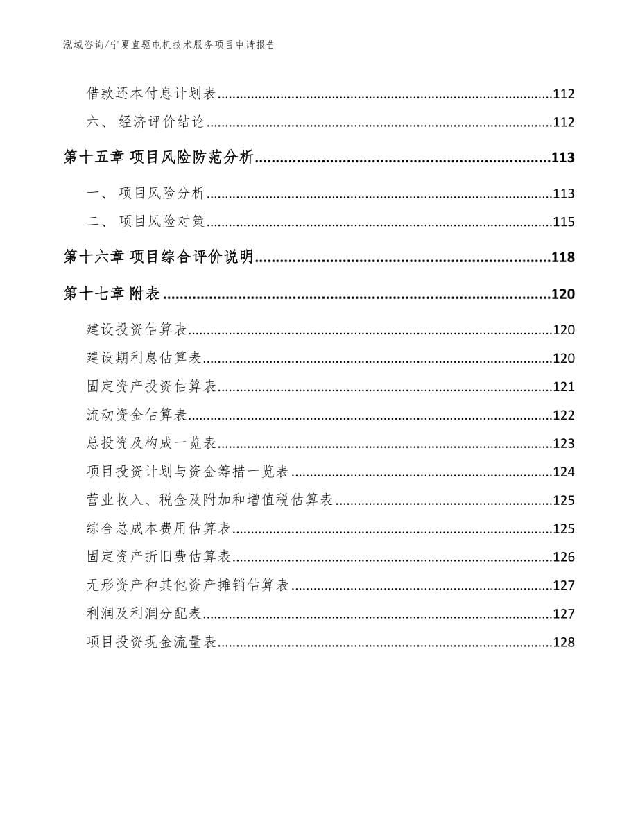 宁夏直驱电机技术服务项目申请报告模板_第5页