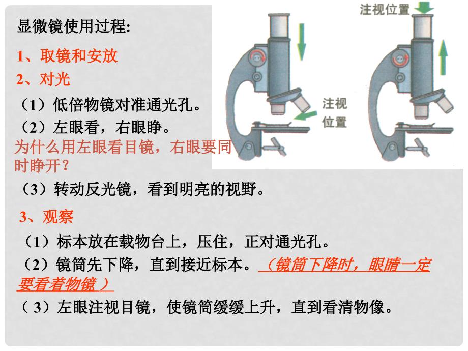 河南省郑州高新技术产业开发区实验中学七年级生物上册 2.1.1 练习使用显微镜课件8 （新版）新人教版_第3页