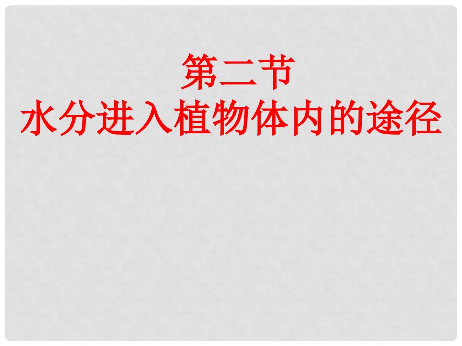 七年级生物上册 第二节水分进入植物体内的途径课件 人教新课标版_第1页