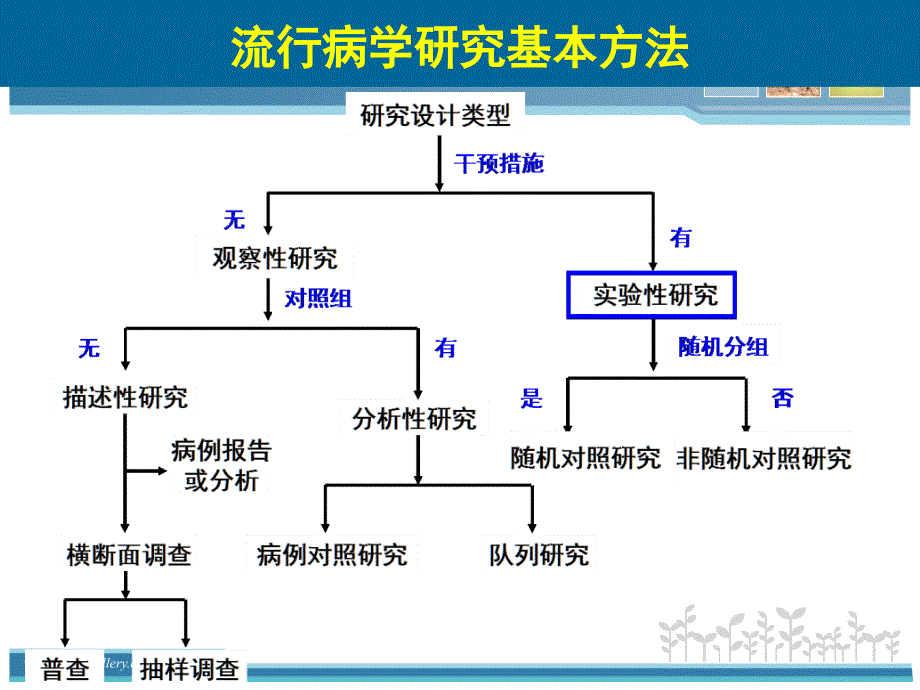 临床流行病学：6.实验性研究_第2页