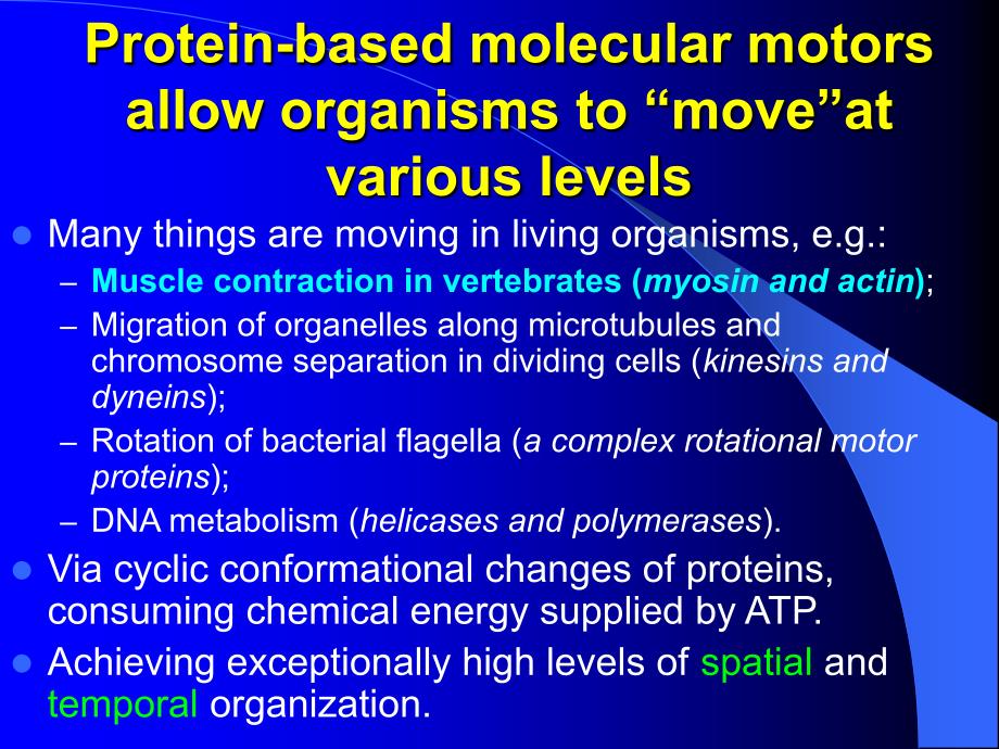 生物化学英文版课件：Chapter 5-4 Protein Function, modulation and evolution-myosin and actin_第2页