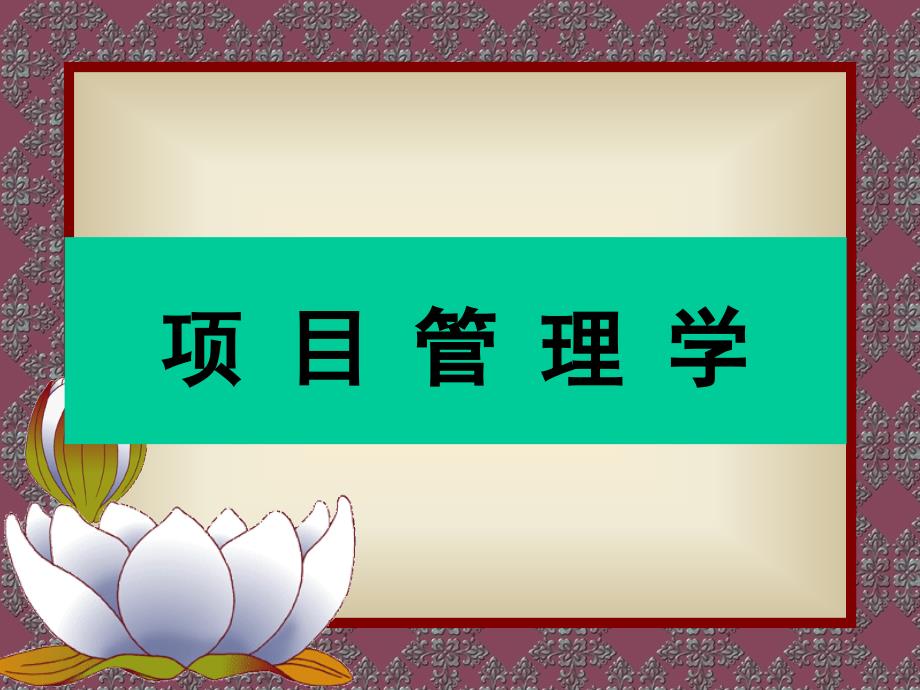 戚安邦项目管理学第二版课件简本ppt_第1页