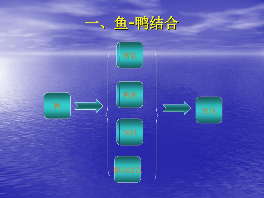 第四章综合养鱼第三节养鱼与养禽结合_第3页