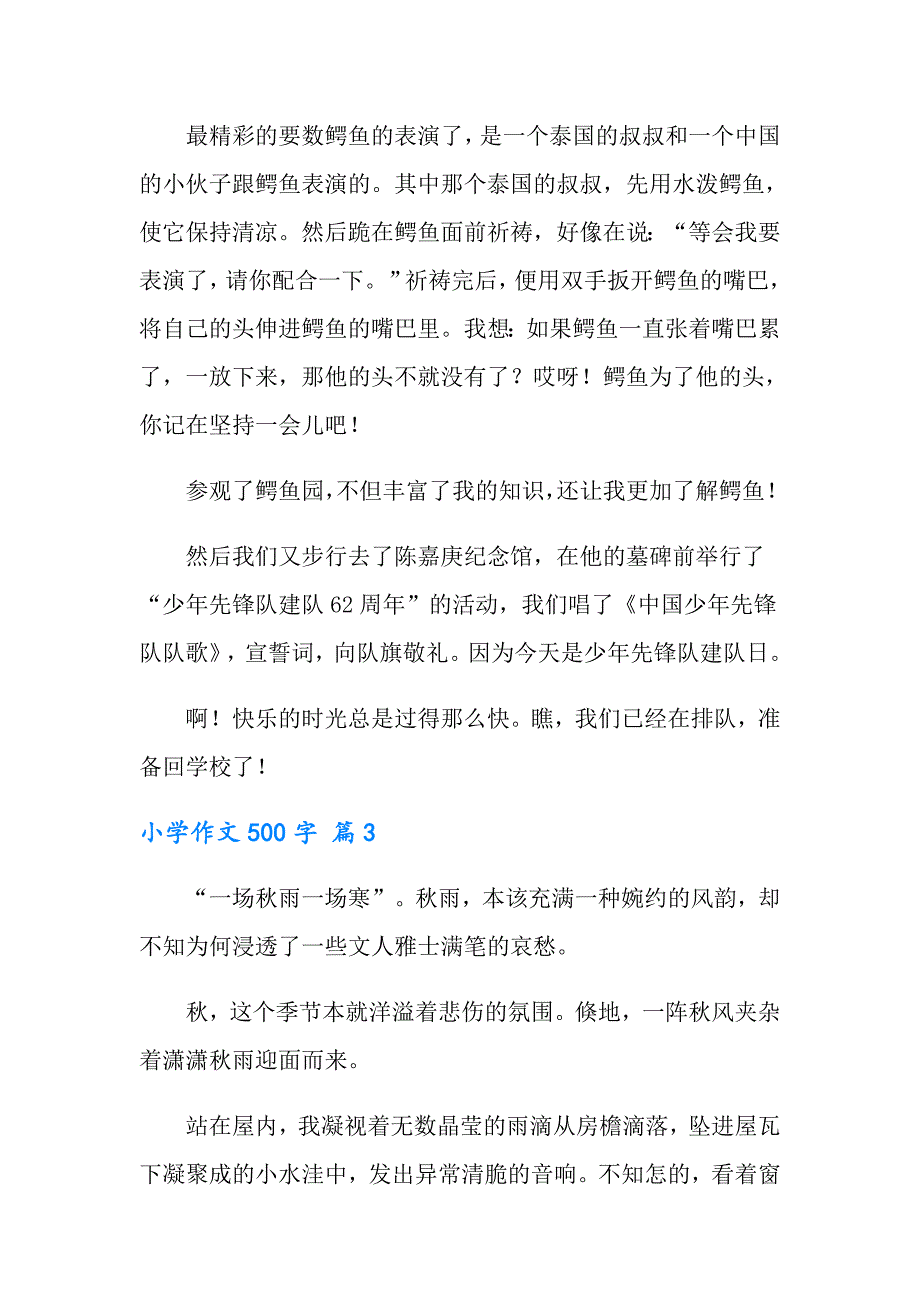 （可编辑）小学作文500字汇编9篇_第3页