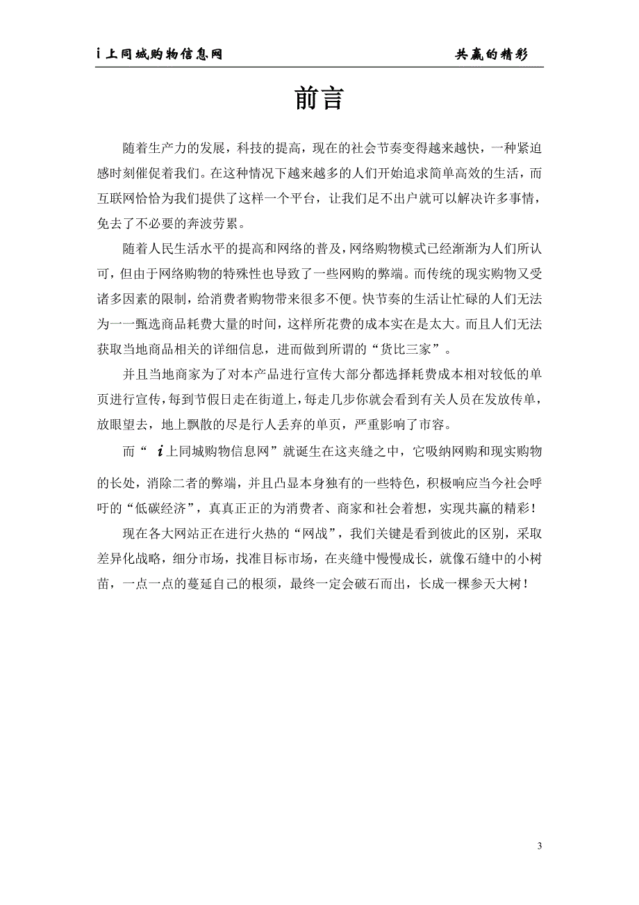 i上同城购物信息网营销策划方案_第3页