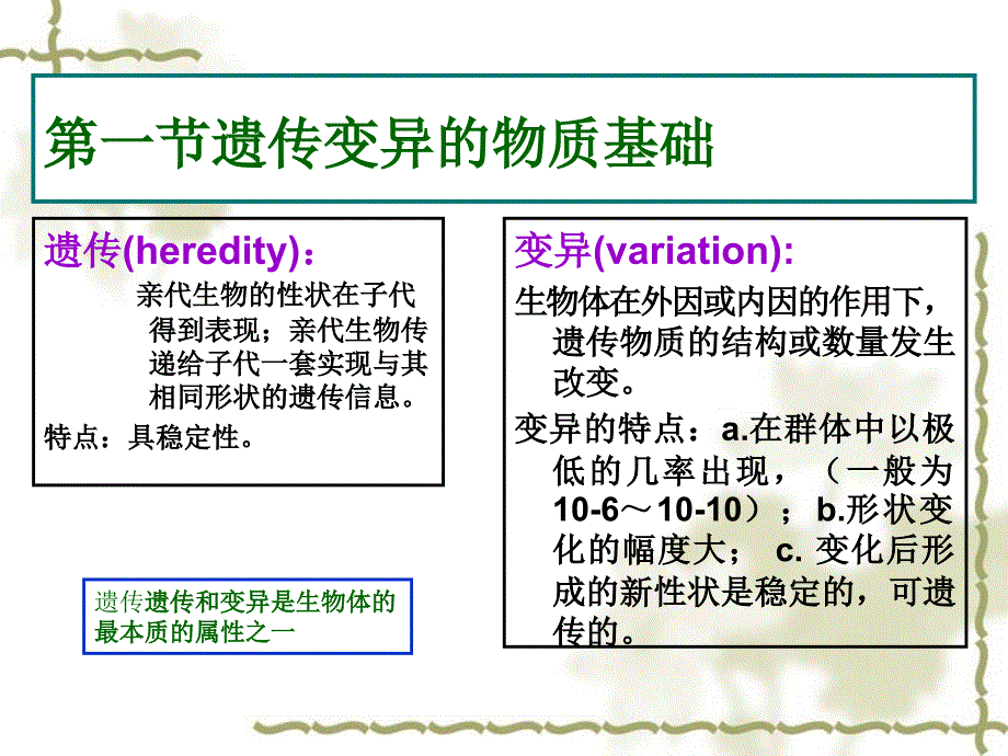 第八章微生物的遗传和变异_第4页