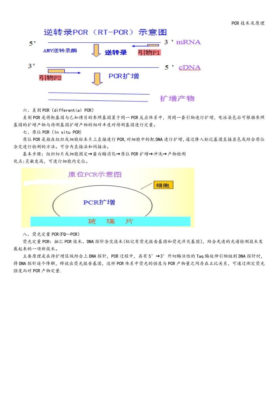 PCR技术及原理.doc_第5页