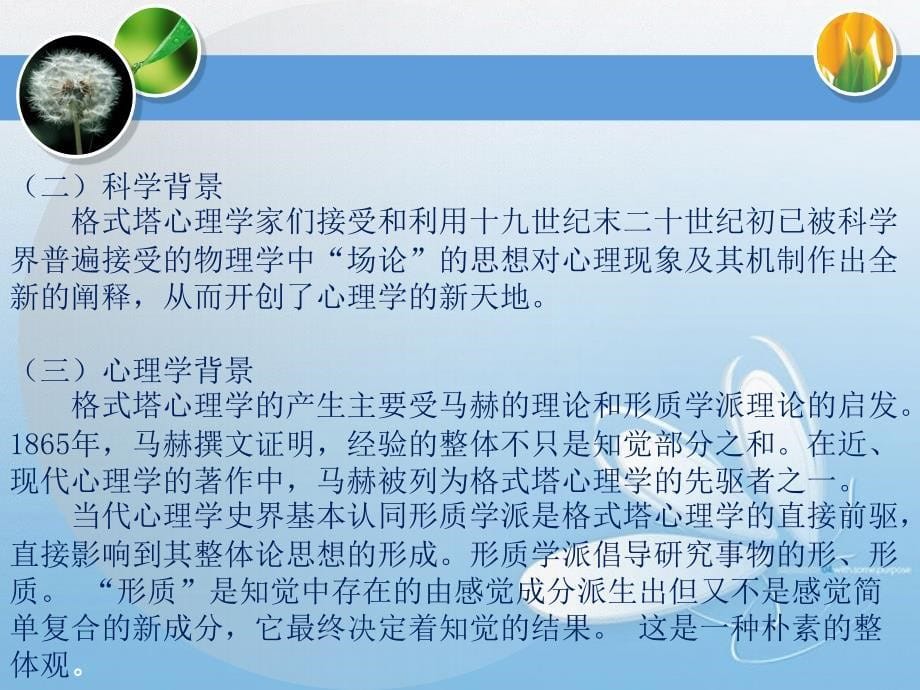 化学学习论第二讲格式塔心理学与化学学习_第5页