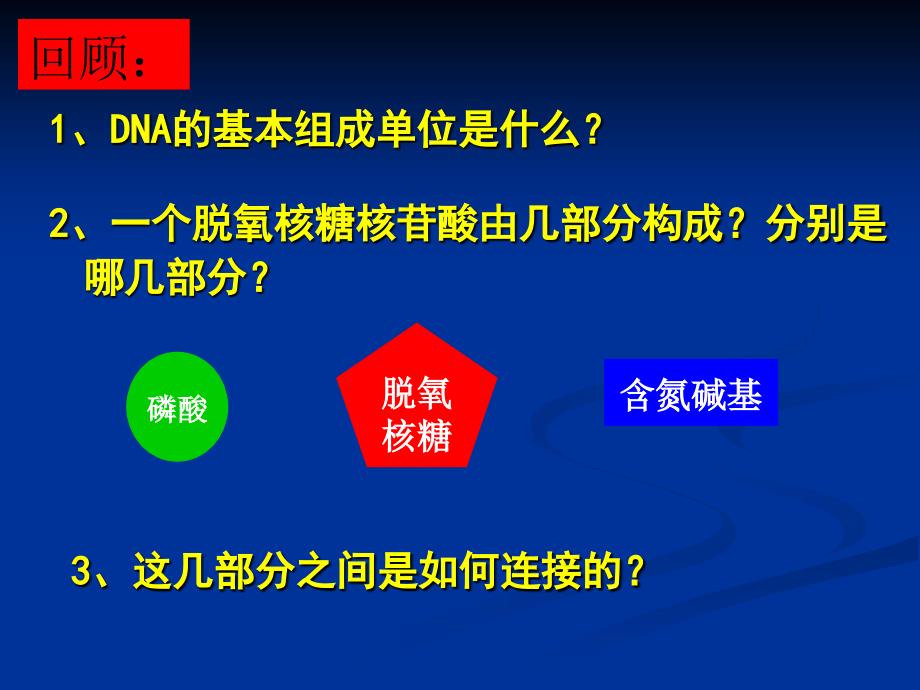 二节DNA分子结构_第2页