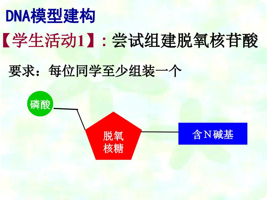 二节DNA分子结构_第3页