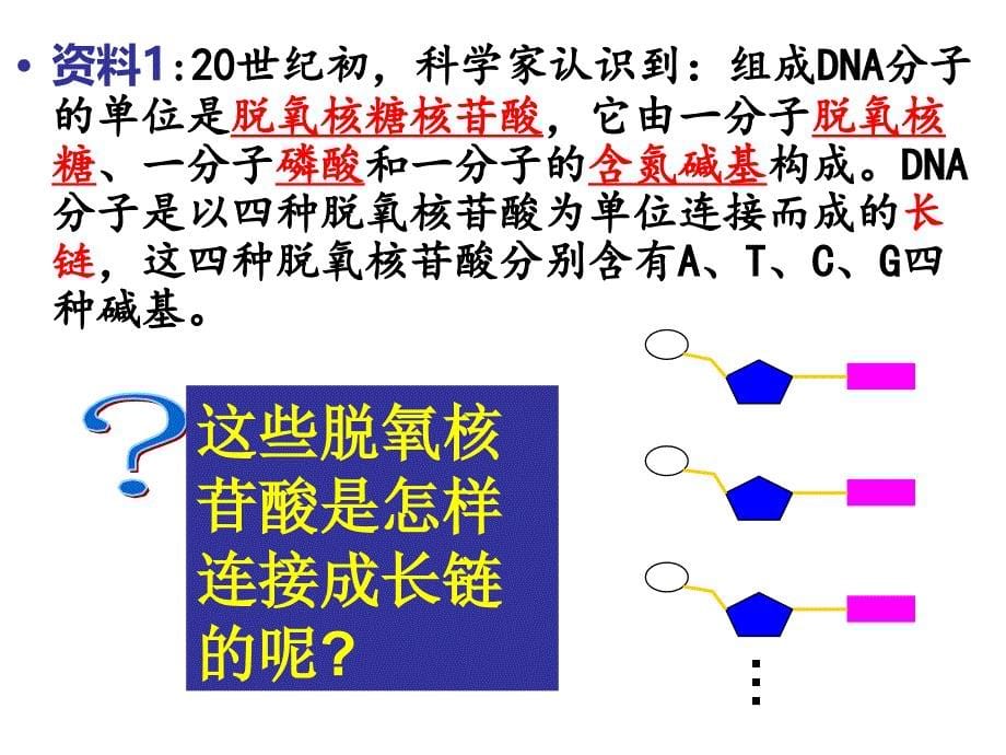 二节DNA分子结构_第5页