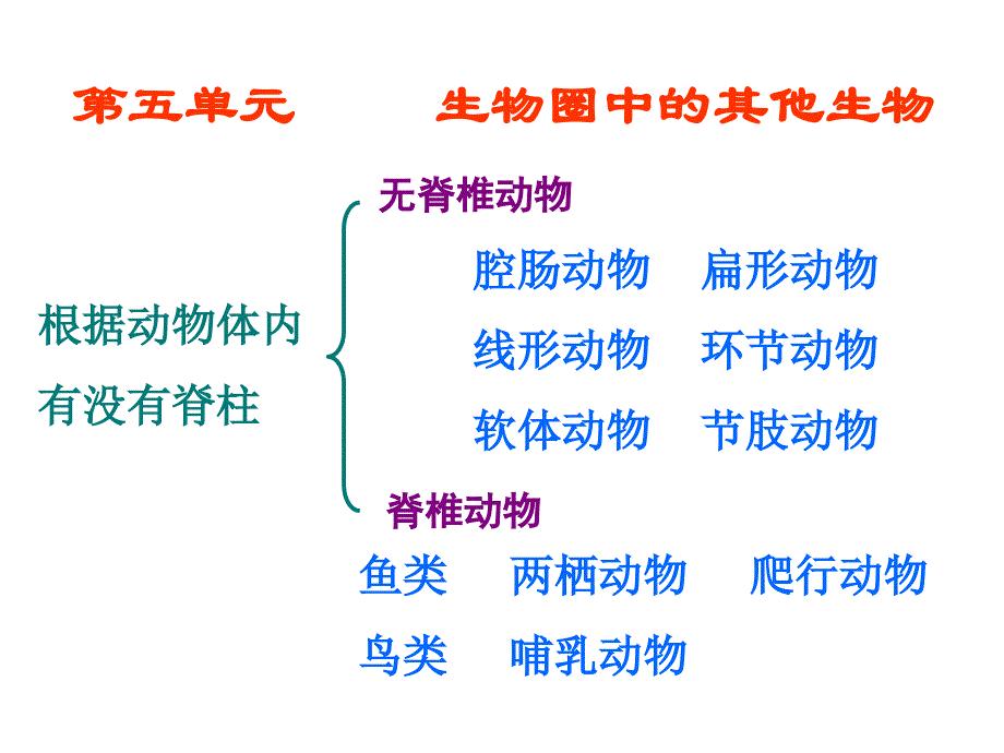 八年级生物上册复习课件_第1页