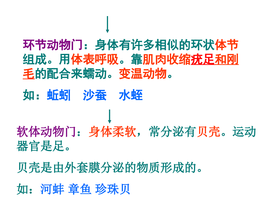 八年级生物上册复习课件_第3页