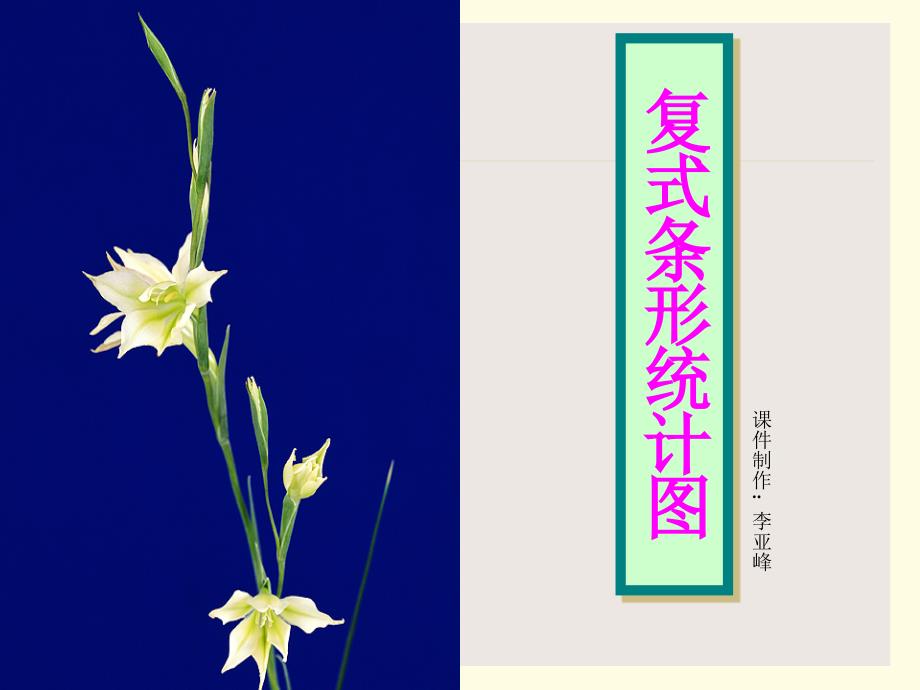 复式条形统计图_第1页