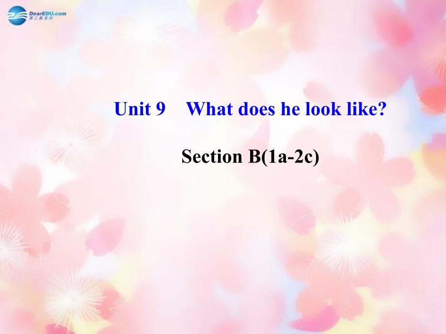 七年级英语Unit 9 What does he look like Section B(1a-2c)课件_第2页