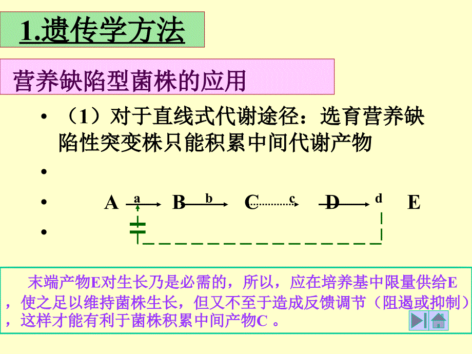 生物合成途径的代谢调控终产物阻遏_第4页