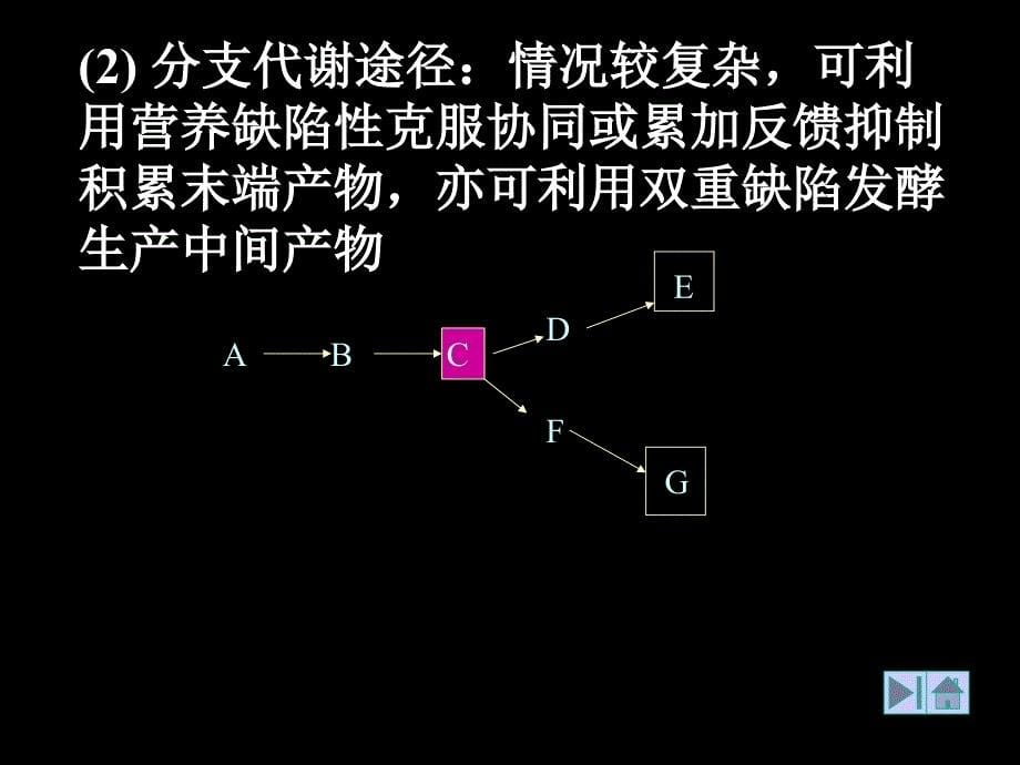 生物合成途径的代谢调控终产物阻遏_第5页