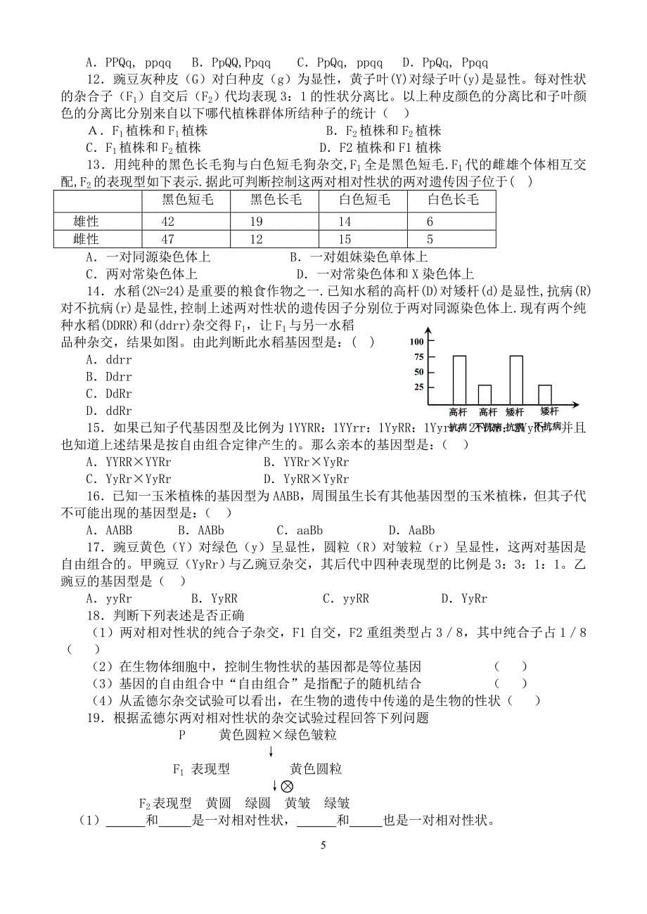 生物豌豆杂交.doc_第5页