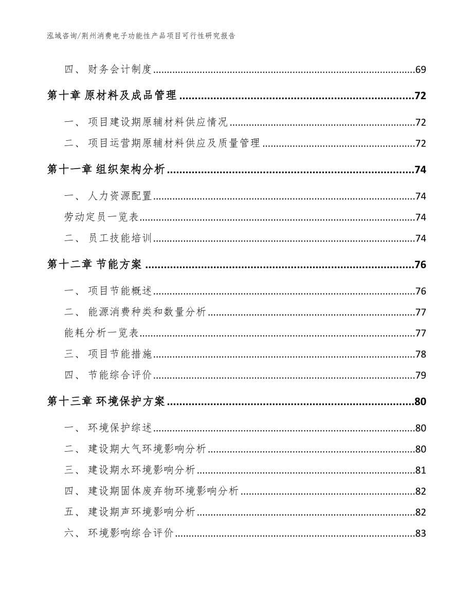 荆州消费电子功能性产品项目可行性研究报告_范文_第5页
