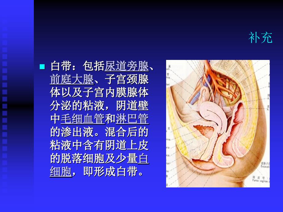 带下病2009简介_第3页