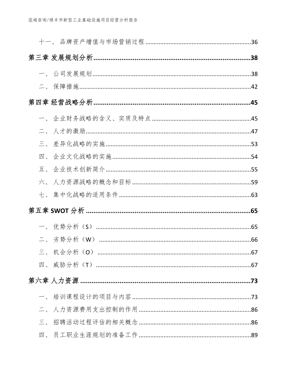 禄丰市新型工业基础设施项目经营分析报告参考模板_第2页