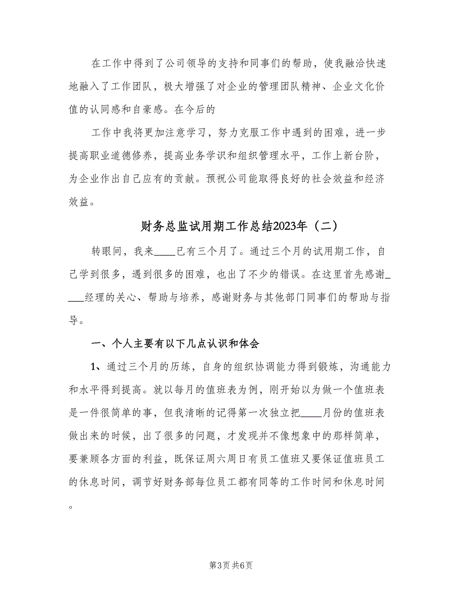 财务总监试用期工作总结2023年（二篇）.doc_第3页