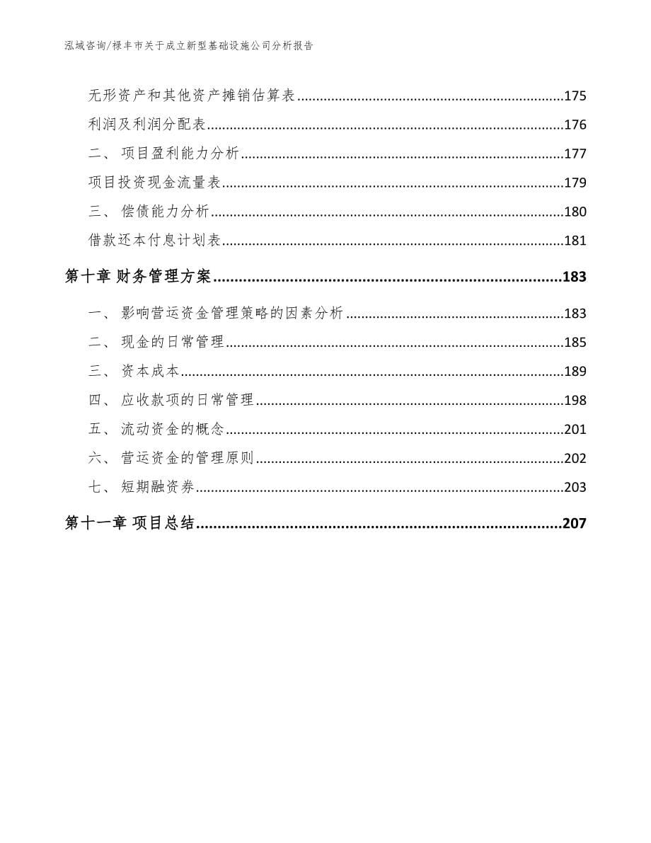 禄丰市关于成立新型基础设施公司分析报告_模板参考_第5页