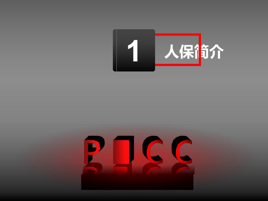 PICC AUDI中国人民财产保险公司介绍手册_第3页