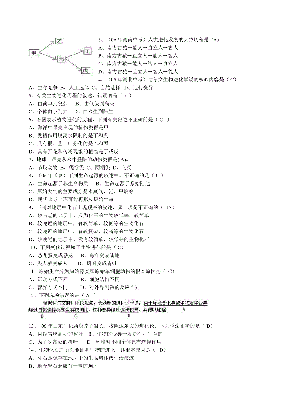 专题二生物的进化规律_第2页