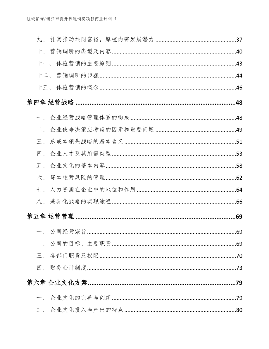 镇江市提升传统消费项目商业计划书_模板范本_第2页