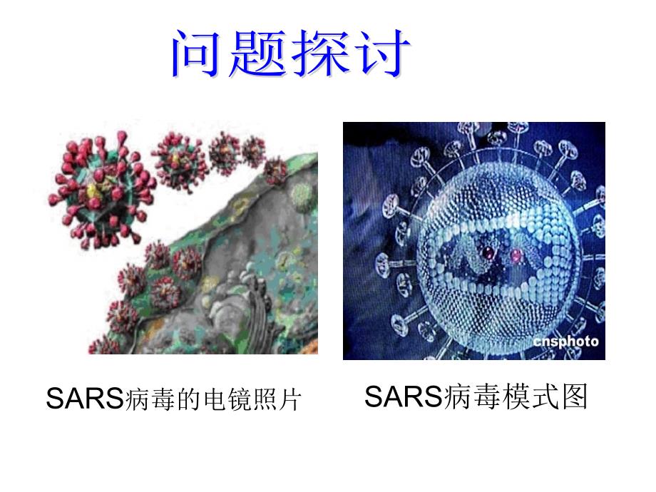 人教版高一生物必修一-从生物圈到细胞--课件_第3页